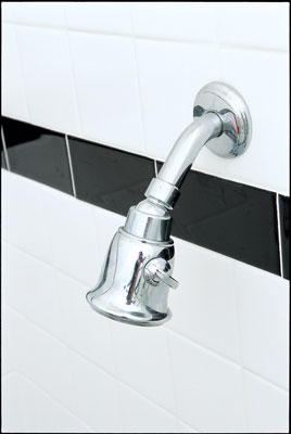 
This water-conserving Price-Pfister showerhead uses an astounding 2.5 gallons of water per minute, while conventional showerheads use 6 gallons per minute. In a move to reuse and recycle, D’Ann donated her old bathroom fixtures to a Habitat for Humanity ReStore in Austin.
